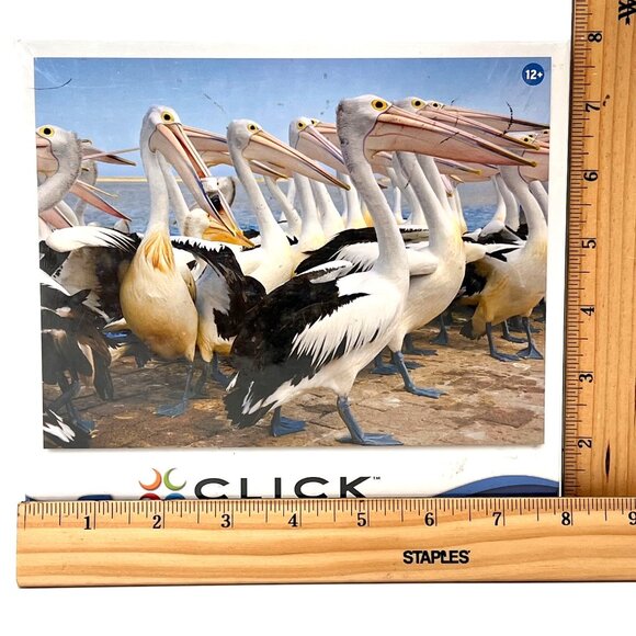 Mega Puzzles Click 1000-Piece Australian Pelicans Jigsaw Puzzle Aussie Birds New - Picture 7 of 9